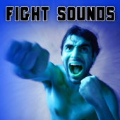 Fight Sound Effects - Sound Ideas