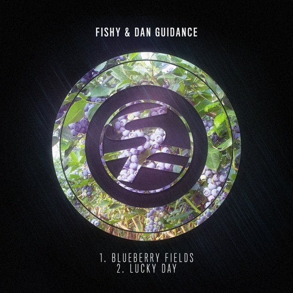 Blueberry Fields / Lucky Day - Single