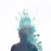 Soak artwork