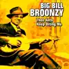 Big Bill Broonzy - Horny Frog