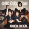 End of the Day - One Direction lyrics