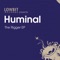 The Rigger - Huminal lyrics