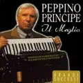 IL SAMBA DELLA FISARMONICA