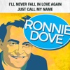 I'll Never Fall in Love Again / Just Call My Name - Single