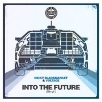 Into the Future (88 MPH) - Single - Nicky Blackmarket & Voltage