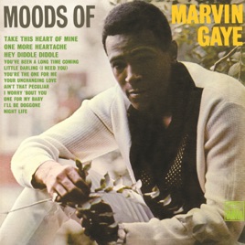 Resultado de imagen para marvin gaye 09 Moods Of Marvin Gaye (1966)