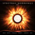 Spectral Mornings (2015)