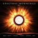 SPECTRAL MORNINGS 2015 cover art