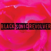 Black Sonic Revolver - Future
