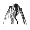 Phlegm cover art