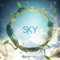 Sky (Radio Edit) - Steerner lyrics