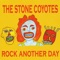A Rude Awakening (Revisited) - The Stone Coyotes lyrics