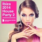 Ibiza House Party 2 (Continuous DJ Mix) artwork