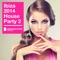 Ibiza House Party 2 (Continuous DJ Mix) artwork