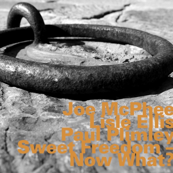 Sweet Freedom - Now What?