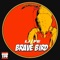 Brave Bird - Life lyrics