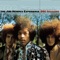 Alexis Korner Introduction (BBC Sessions) - Alexis Korner lyrics