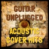 Guitar Unplugged (Acoustic Cover Hits), 2014
