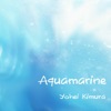 Aquamarine cover art