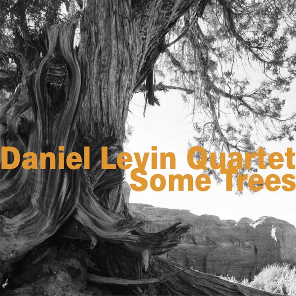 Some Trees (feat. Nate Wooley, Matt Moran, Daniel Levin & Joe Morris)