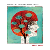 Brass Bang! (feat. Steven Bernstein, Gianluca Petrella & Marcus Rojas) - Paolo Fresu