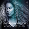 You Go to My Head - Cassandra Wilson