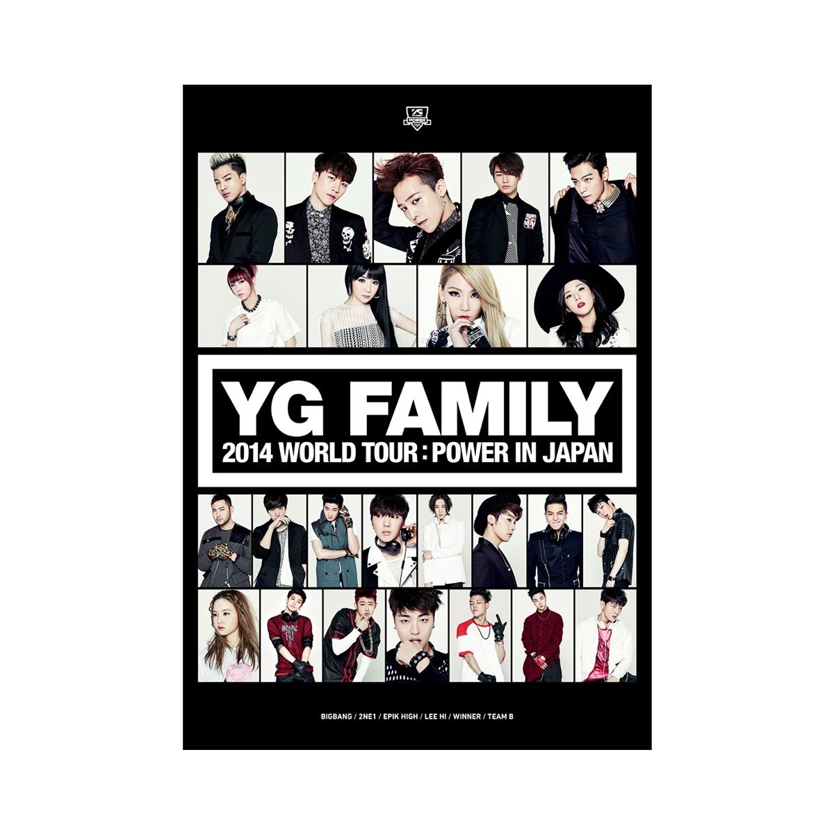 YG FAMILY 2014 WORLD TOUR:POWER IN JAPAN