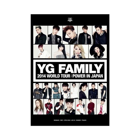 FIRE (from YG FAMILY WORLD TOUR 2014 -POWER- in Japan) – Song by 