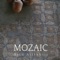Mozaic - Nicu Alifantis lyrics