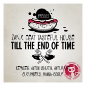 Till the End of Time (Anturage Remix) [feat. Tasteful House] artwork