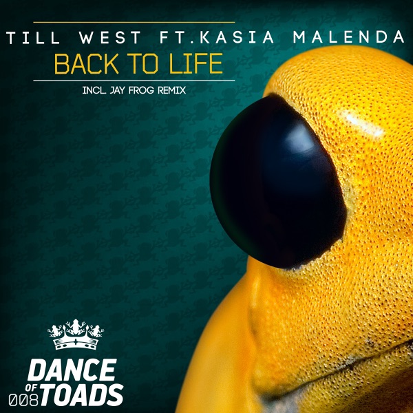 Back to Life (feat. Kasia Malenda) - Single