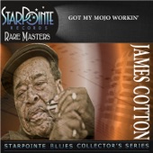 Got My Mojo Workin' (Live) artwork