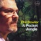 Harryson - Phil Bowler & Pocket Jungle lyrics
