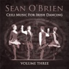 Ceili Music for Irish Dancing, Vol. 3