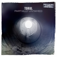 Torul - Show Me Your City