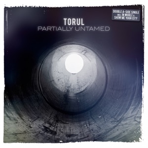 Partially Untamed - EP
