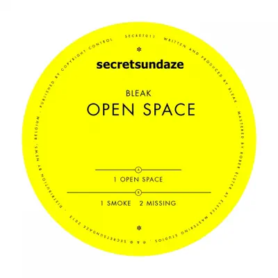 Open Space - Single - Bleak