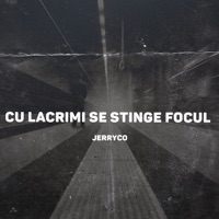 Cu Lacrimi Se Stinge Focul (feat. Japhet Niven) - Single - JerryCo