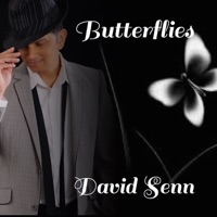 Butterflies - Single - David Senn