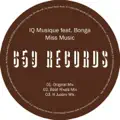Miss Music (Beat Rivals mix)