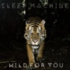 Wild for You - Single artwork