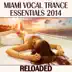 Winds of Change (Damian Wasse Remix) song reviews