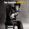 The Essential Donovan, 2004