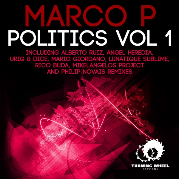 Politics, Vol. 1