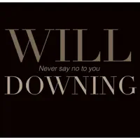 Never Say No To You — Will Downing