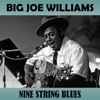 Forty Four Blues - Big Joe Williams
