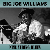 Nine String Blues - ビッグ・ジョー・ウィリアムス