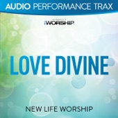 Love Divine (Low Key Trax Without Background Vocals) artwork