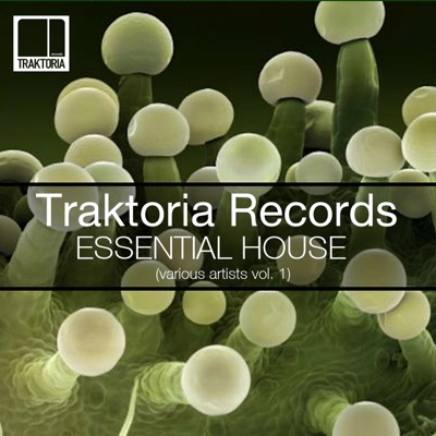 Essential House, Vol. 1