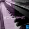 Wonderful (feat. Rocio Starry) [Tha Bang Remix] - Lesmatiq lyrics